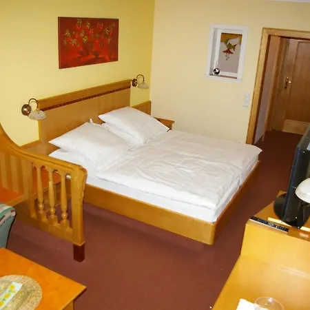 Zur Alten Schmiede Guest house